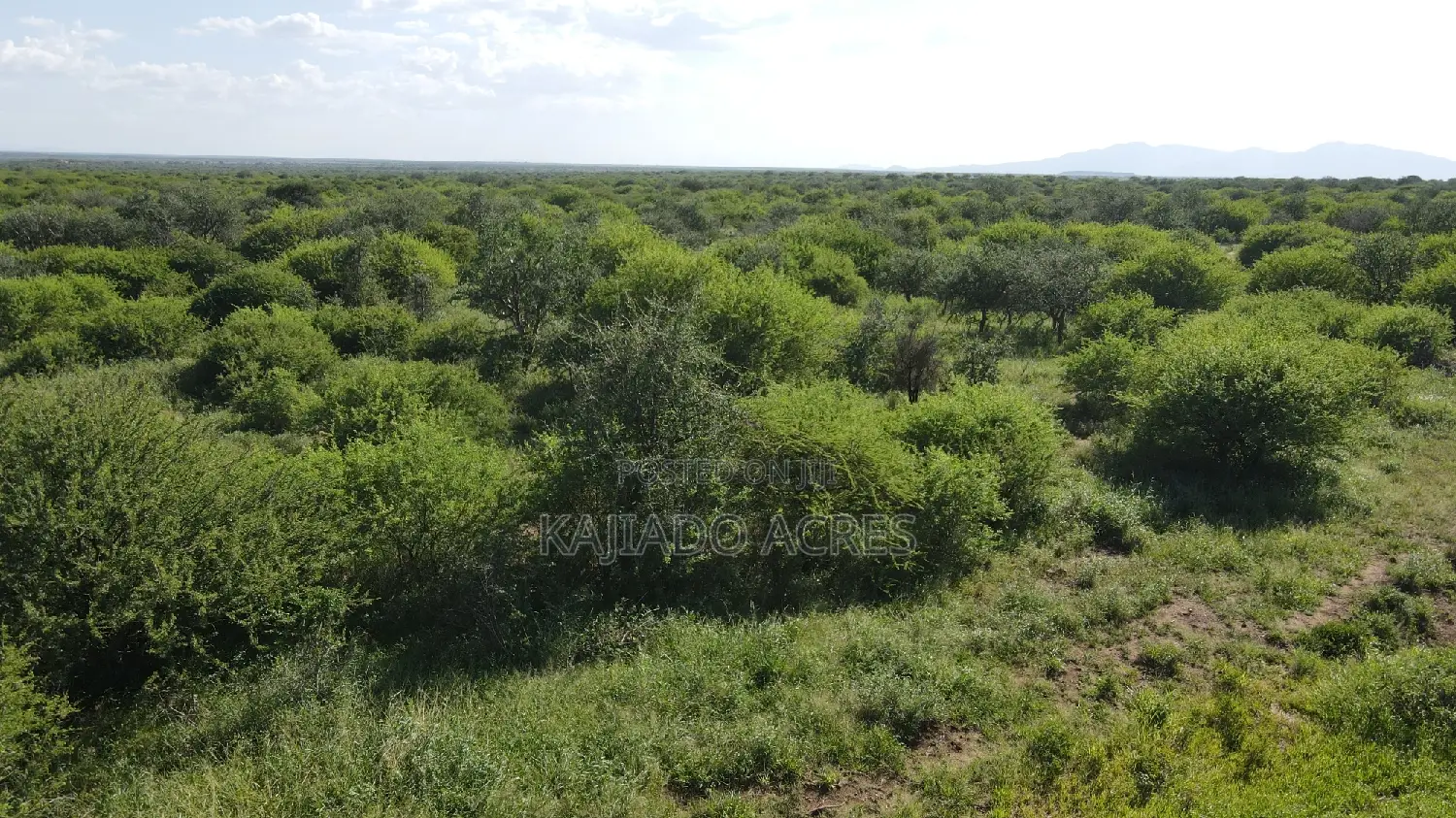 18 Acres Oloika at Per Acre