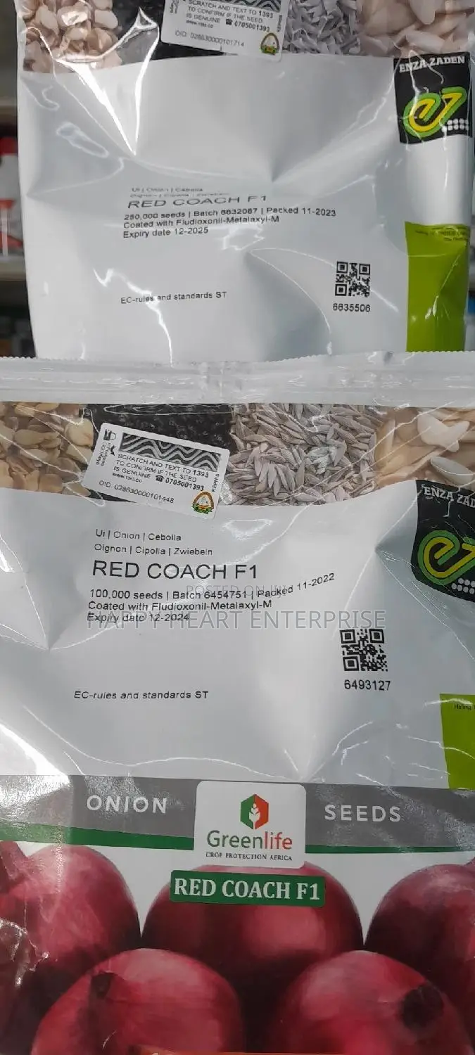 Hybrid Onion Red Coach F1 400G