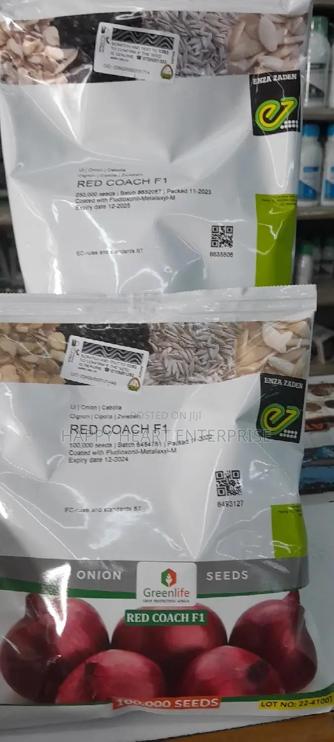 Hybrid Onion Red Coach F1 400G