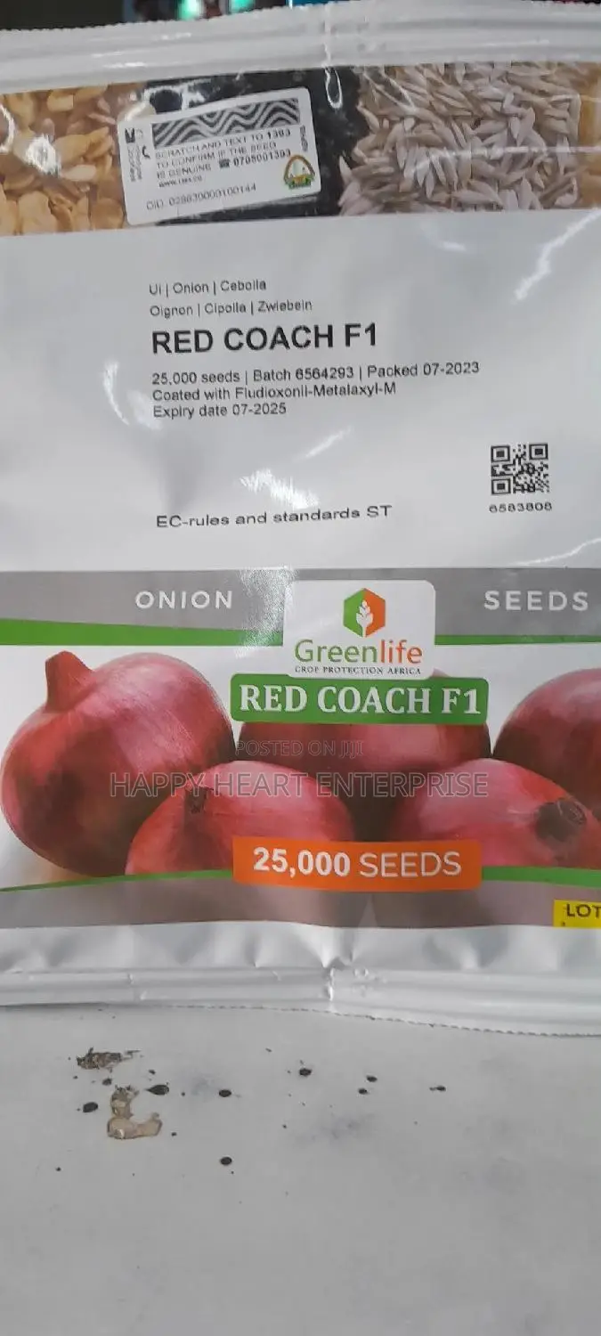 Red Coach F1 Onion Hybrid Seed 100G (25000) Seeds