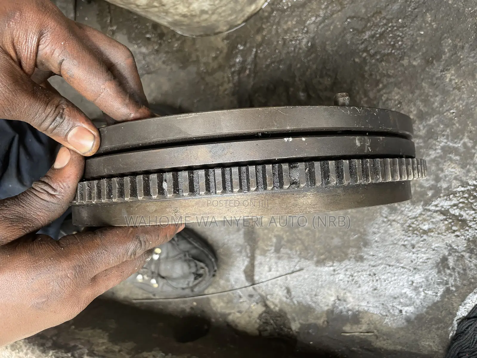 Fry Wheel 1KZ