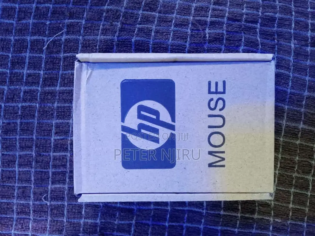 Brown Box Mouse