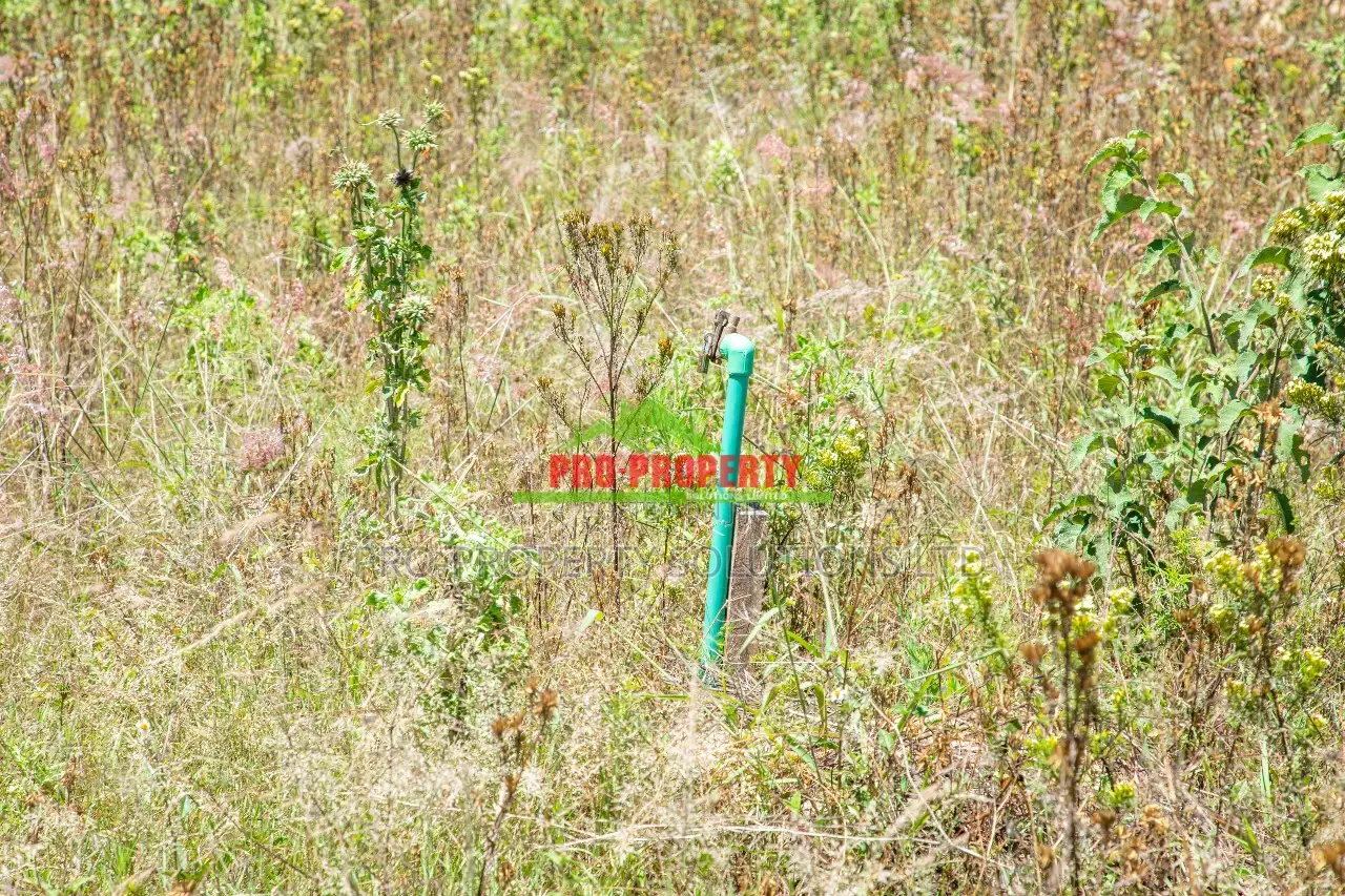 Prime Residential Plot (Gated Community Concept) in Kamangu