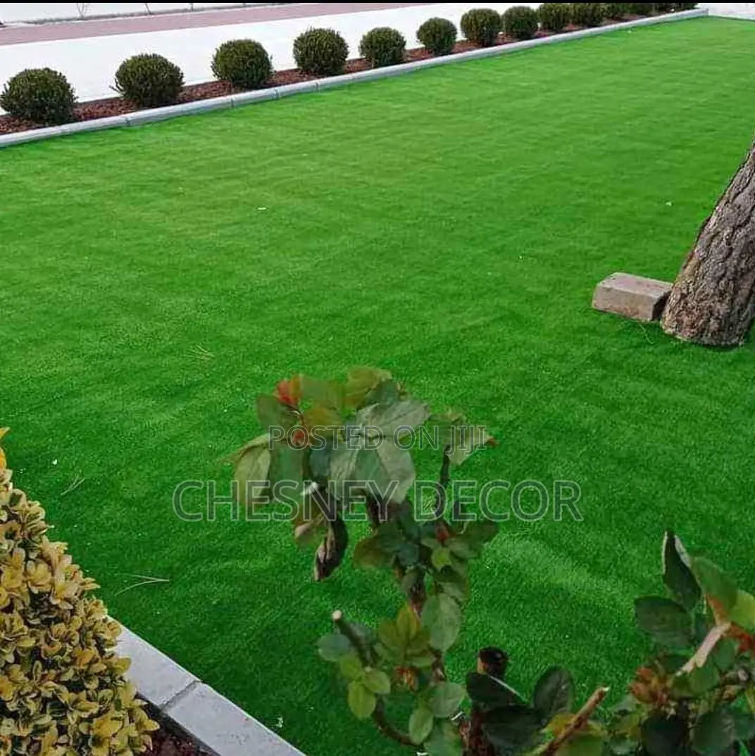 Turf Grass Turf Grass Turf Grass Turf Grass