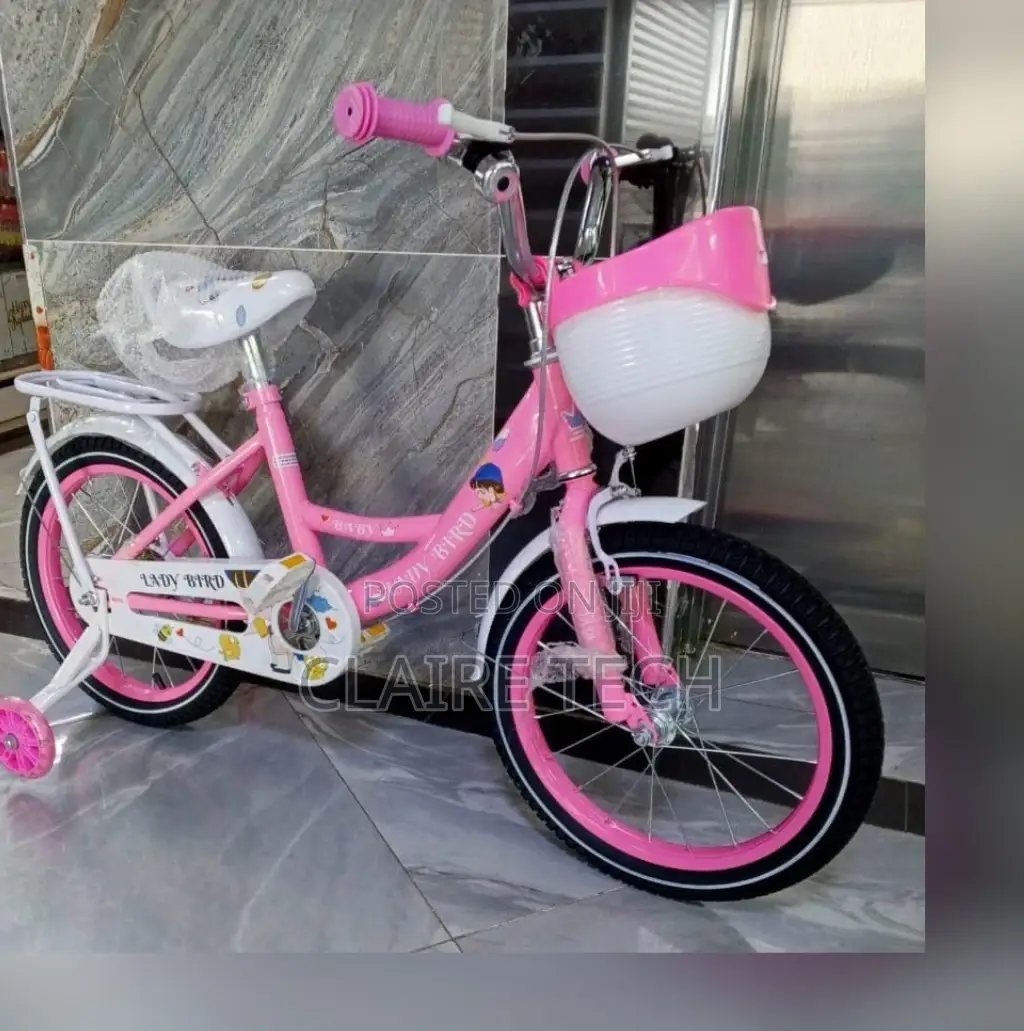 Pink Size 12 Lady Bird Bike