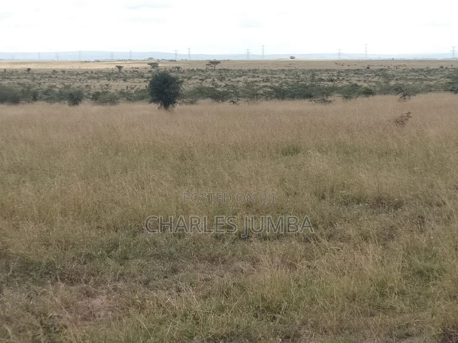 Isinya Plots