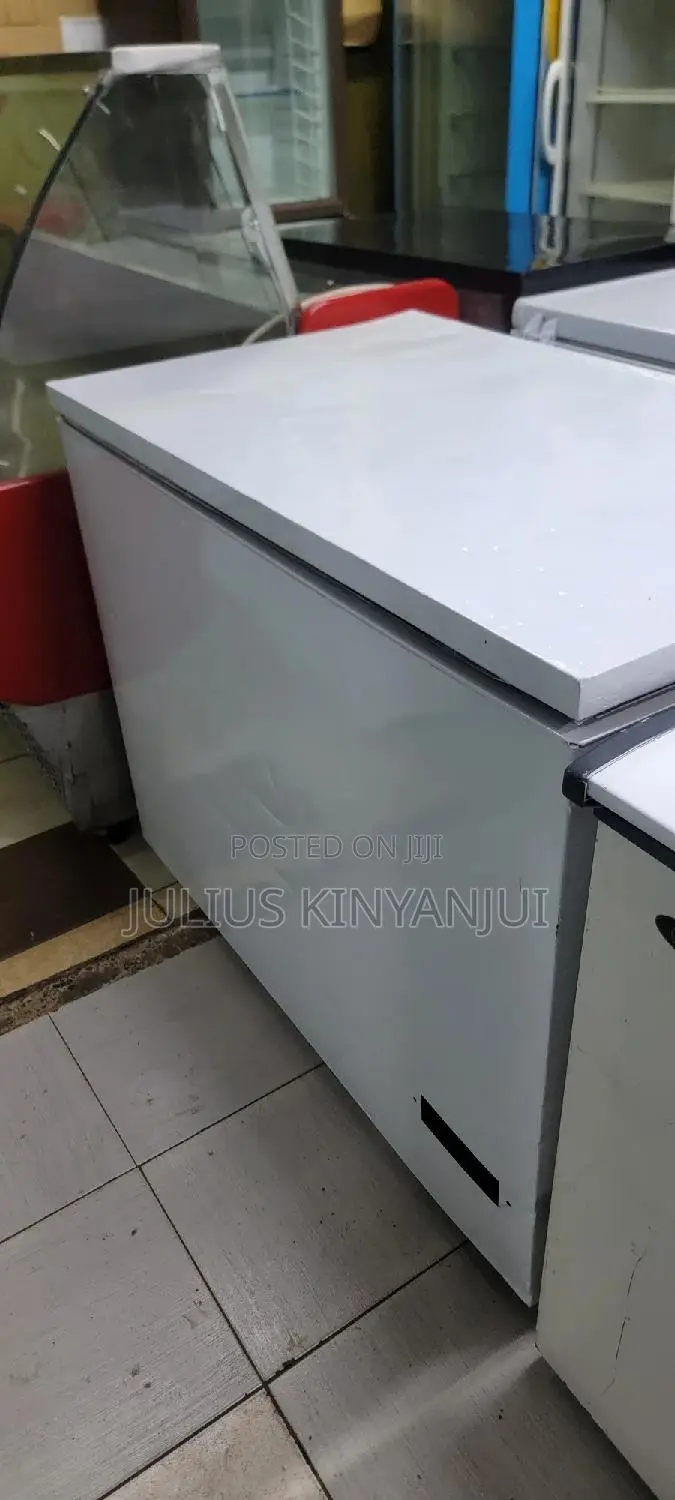 300L Deep Freezer