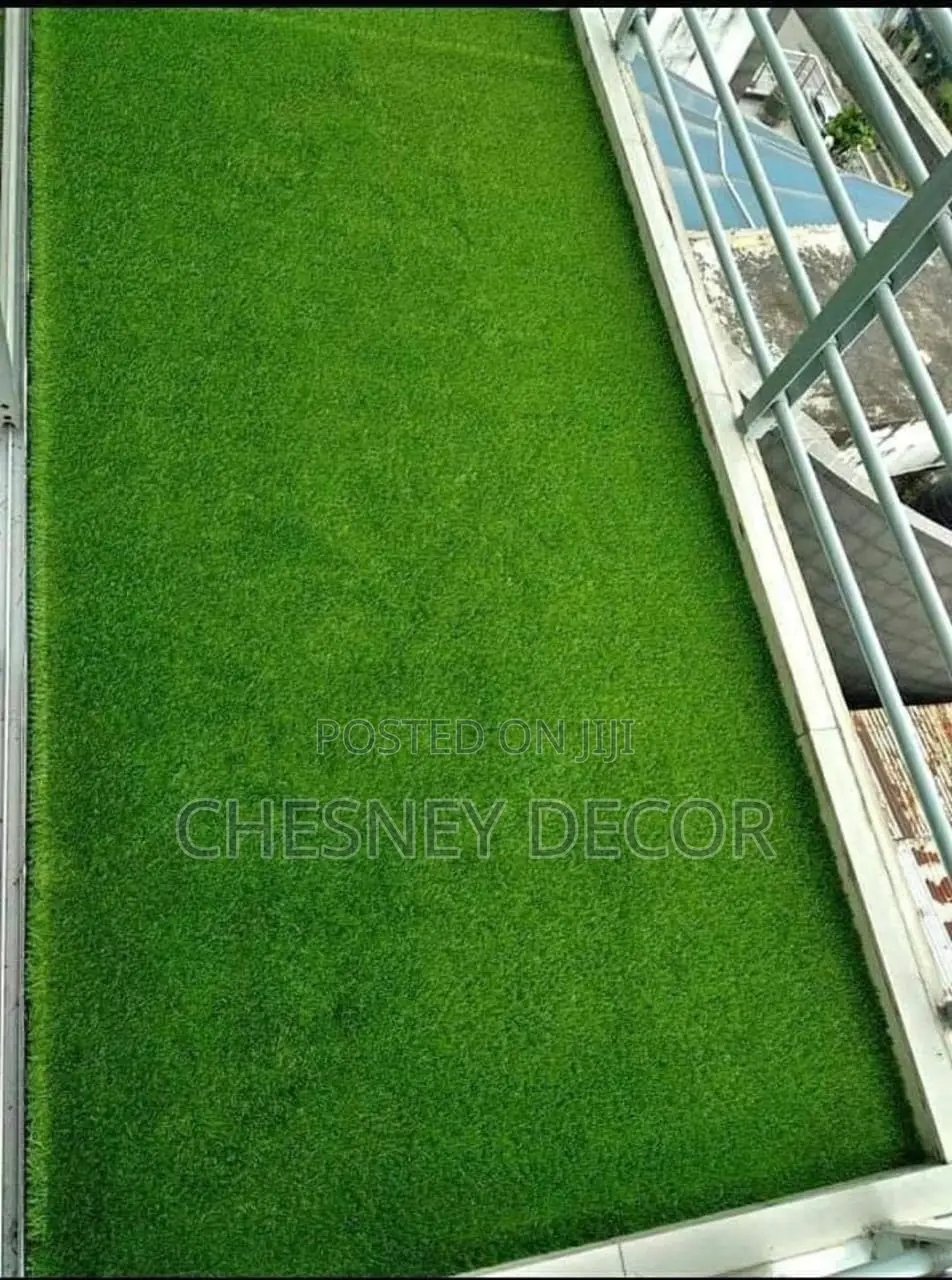 Turf Grass Turf Grass Turf Grass