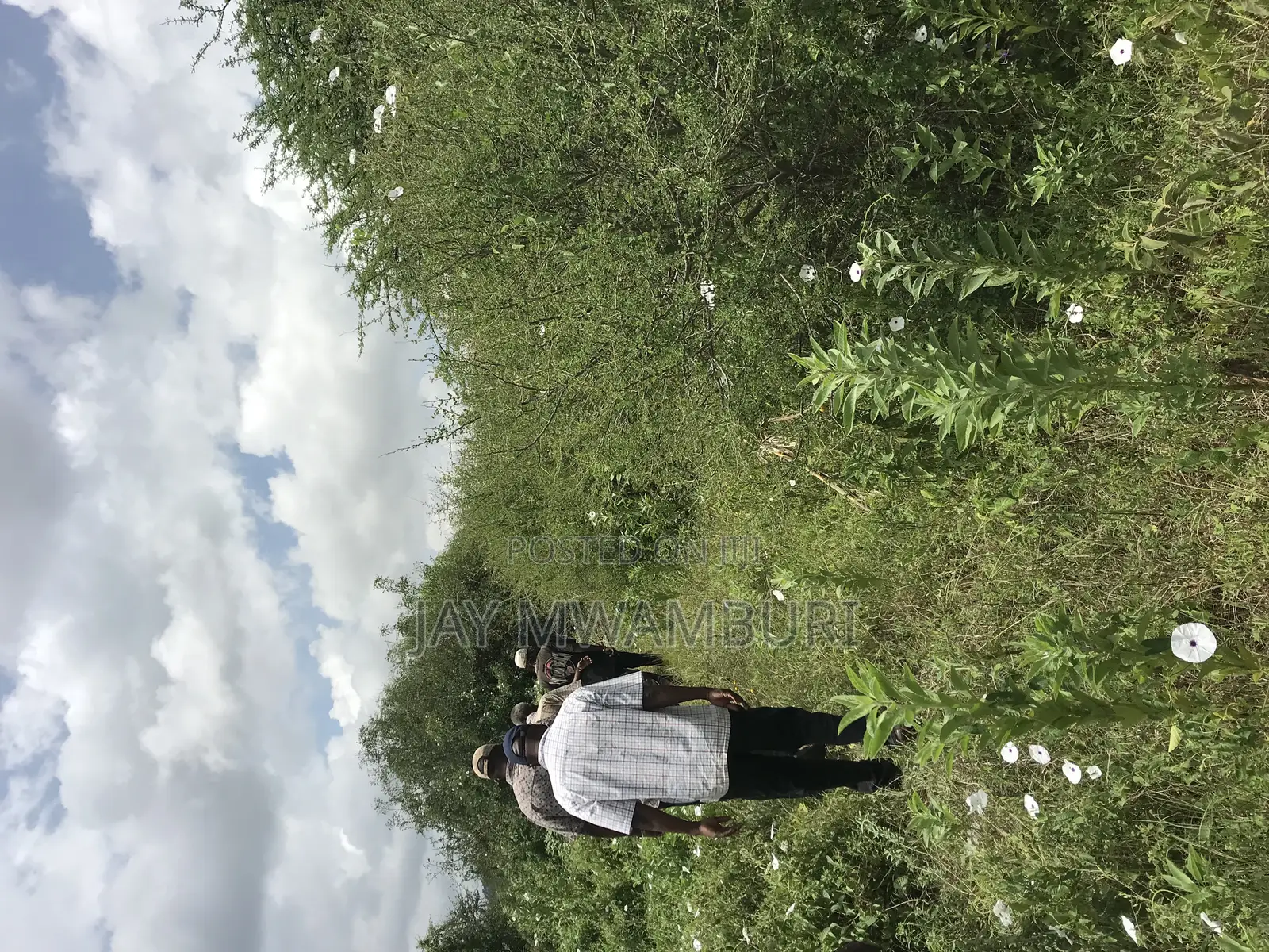 60 Acres Makindu Wote Road