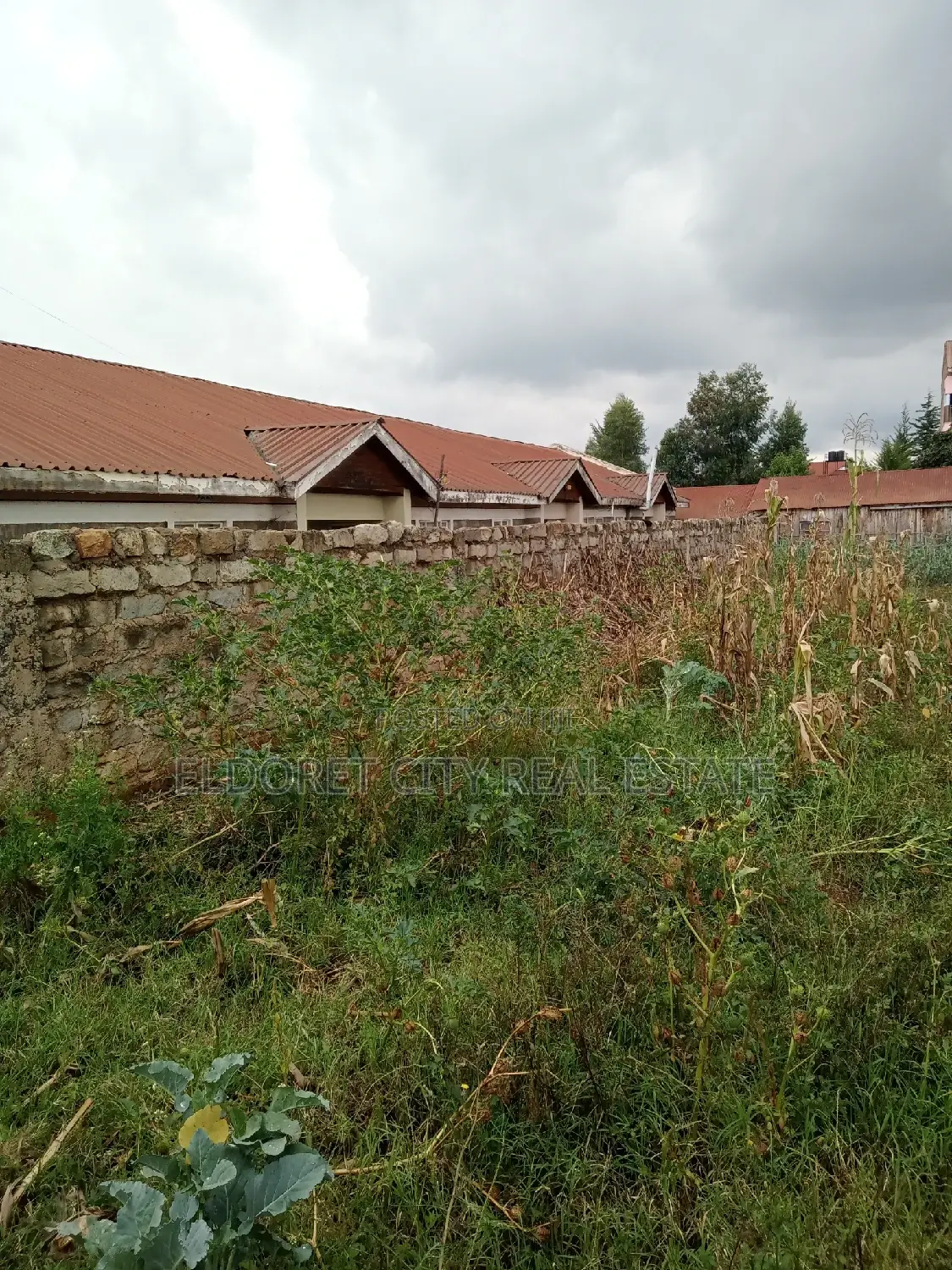 1/4 Plot Kimumu With Title 500metres From Tarmac