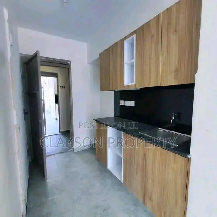 1bdrm Apartment in Naivasha Road for rent