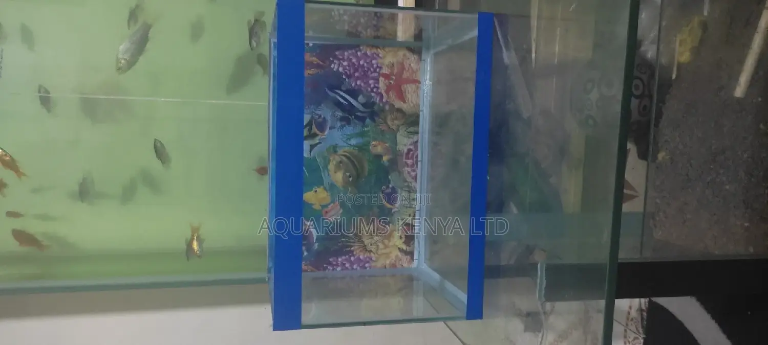 Kids Aquarium, 