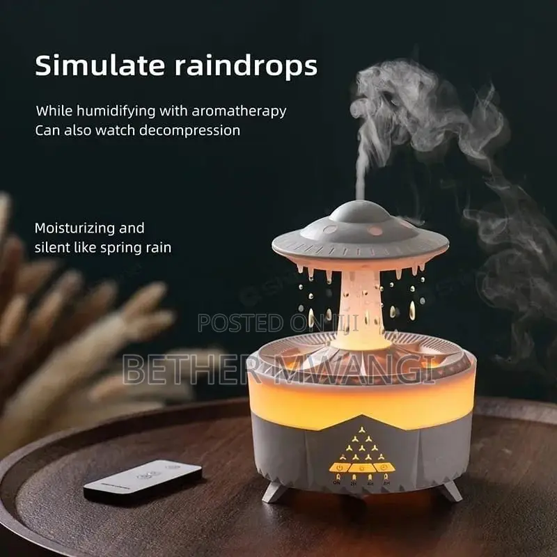 Raindrops Humidifier in Kenya