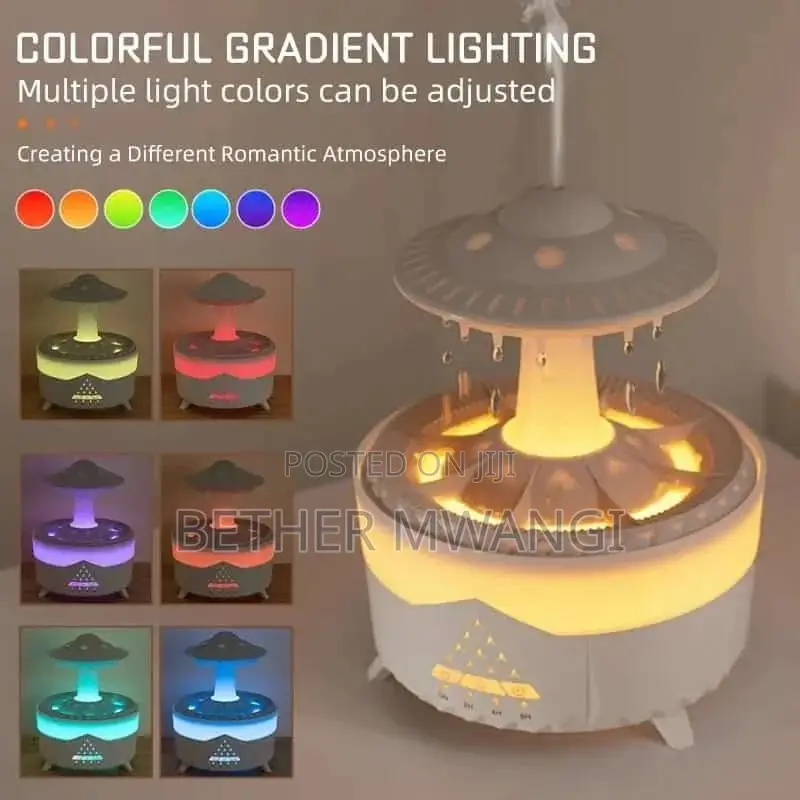 Raindrops Humidifier in Kenya