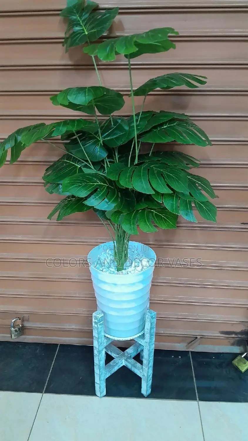 Monstera 24leaves, Plastic Vase and Wooden Stand