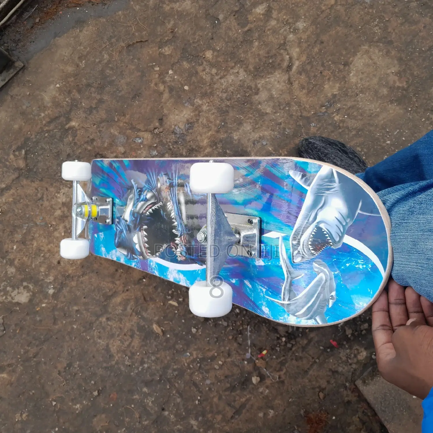 Adult Skate Board