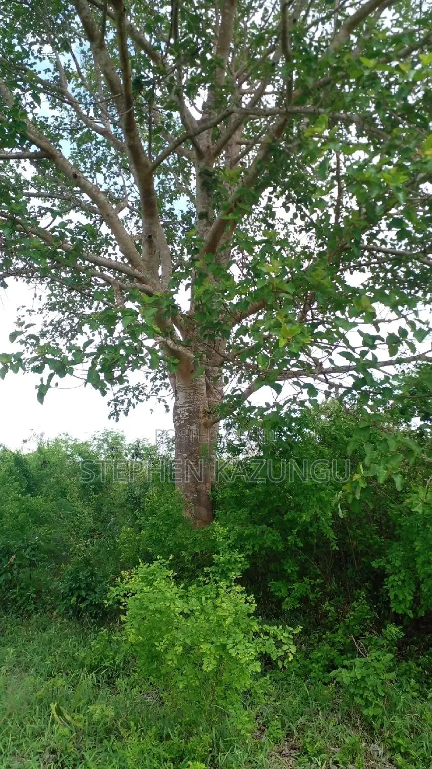 1 Acre Prime Plot on Sale at Kinondo in Ukunda Urban Zone.