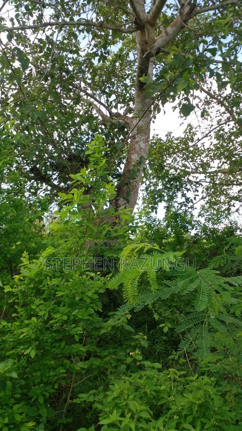 1 Acre Prime Plot on Sale at Kinondo in Ukunda Urban Zone.