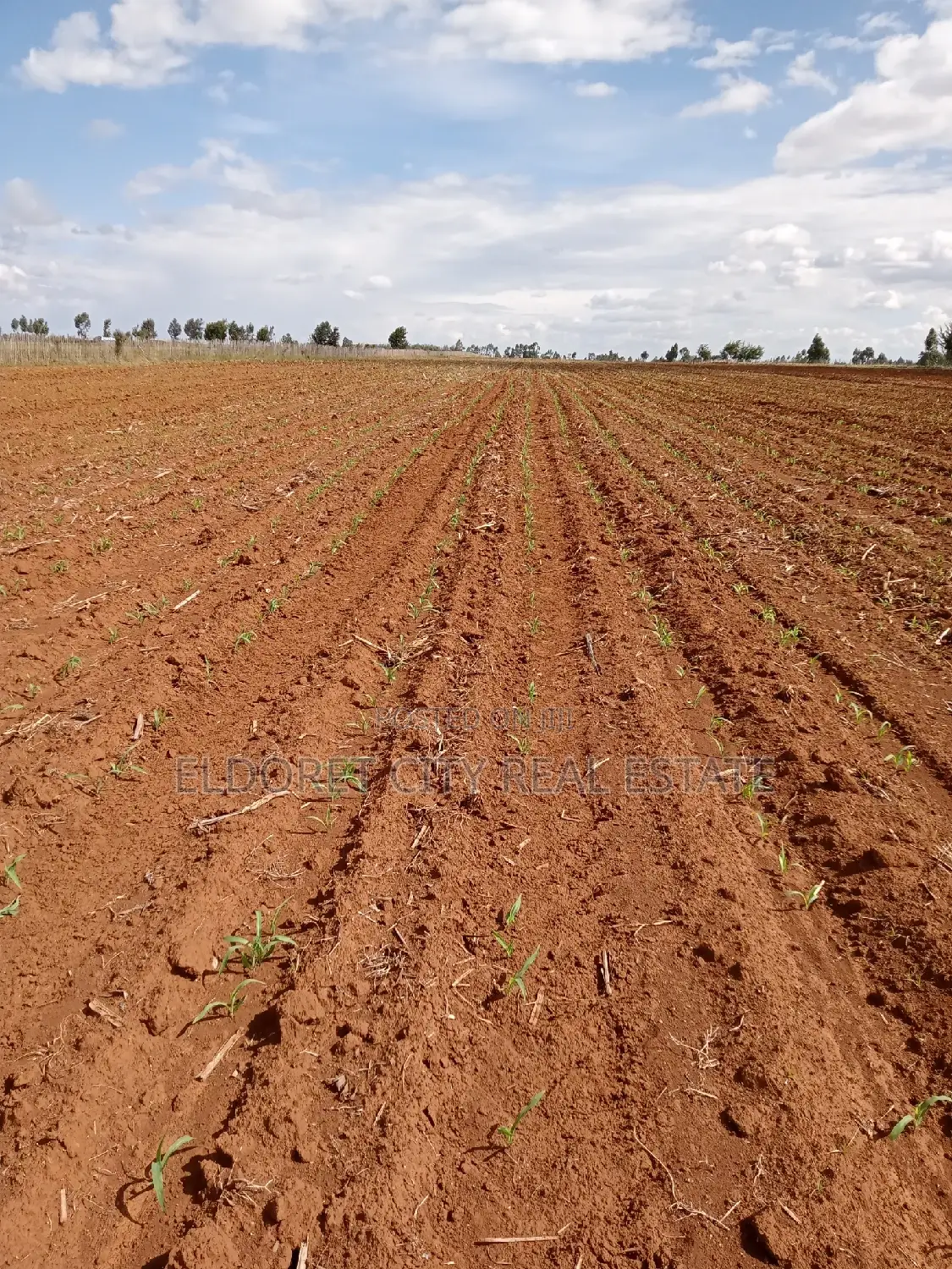 7 Acres With Title Merewet.