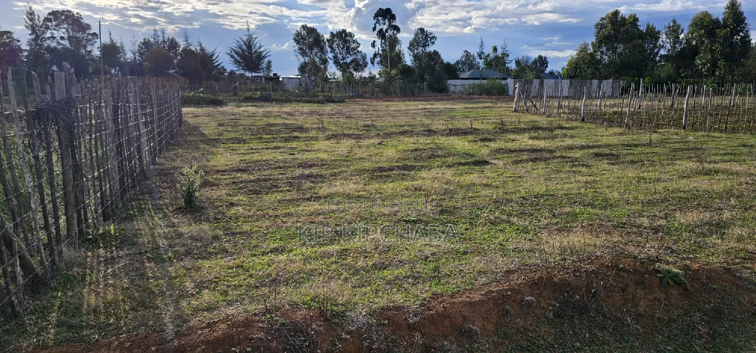 Prime Plots for Sale in Illula After Kapsoya in Eldoret
