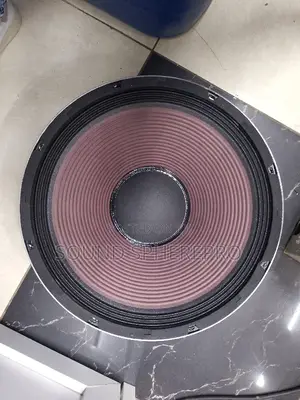 Derwel 15AH153 Mid Range Naked Speaker