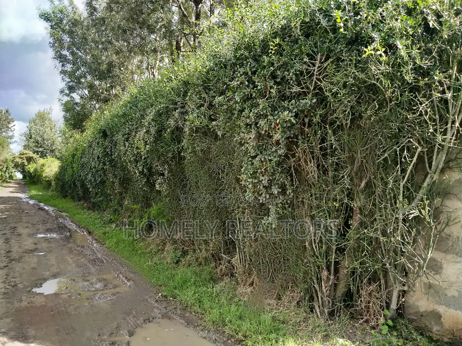 Quarter Acre in Kandisi Few Meters From Rimpa Road Tarmac