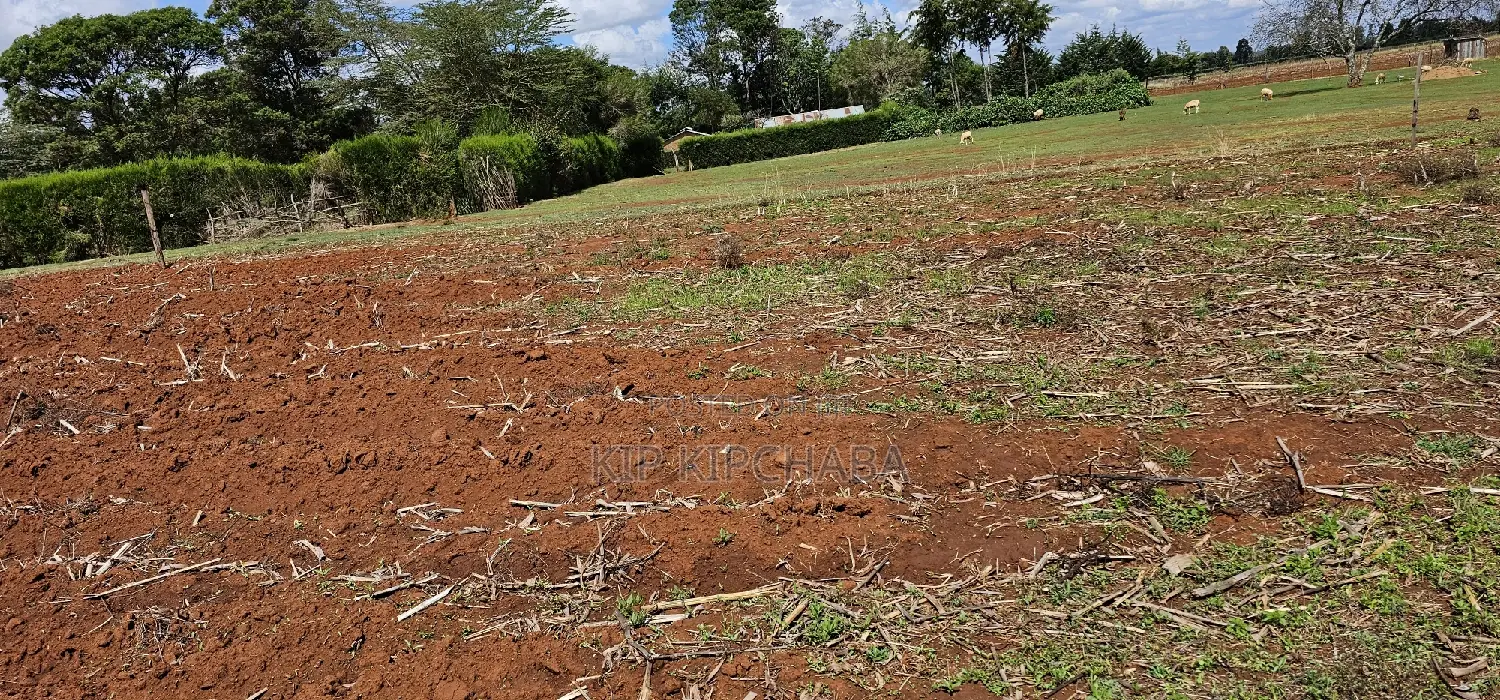 Prime 1⁄4 Plot for Sale Marura Sololo in Eldoret