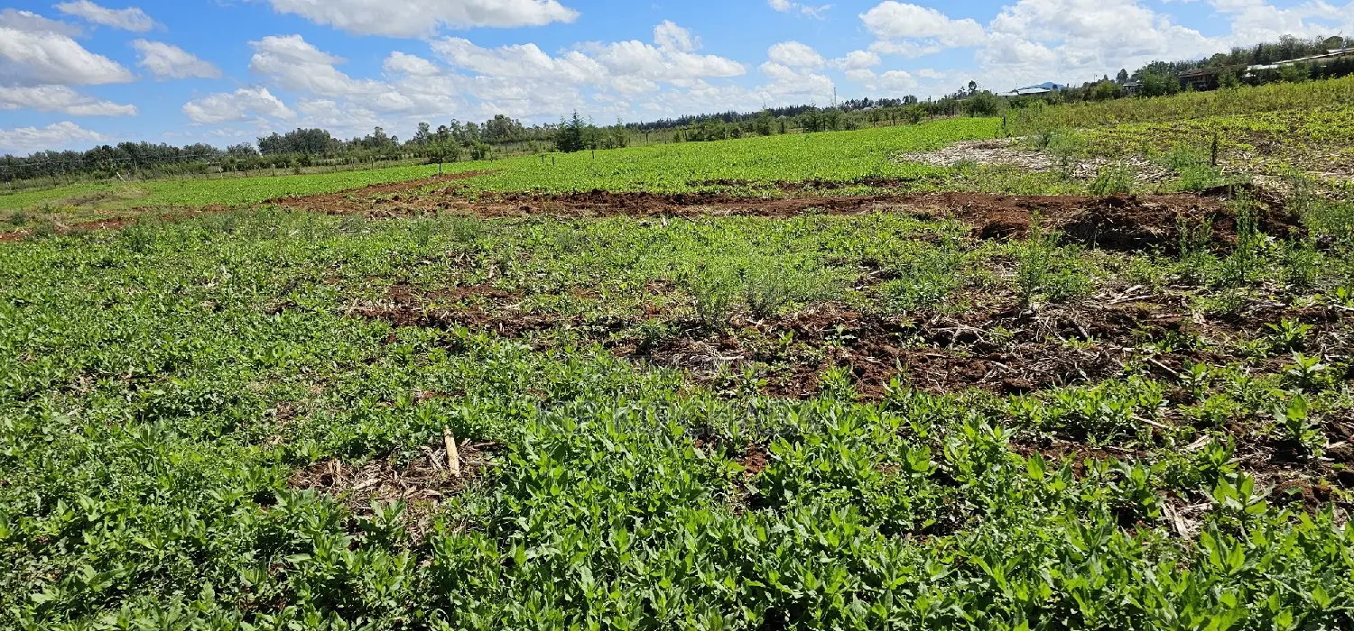 Prime Commercial Plots for Sake in Kimumu Marura in Eldoret