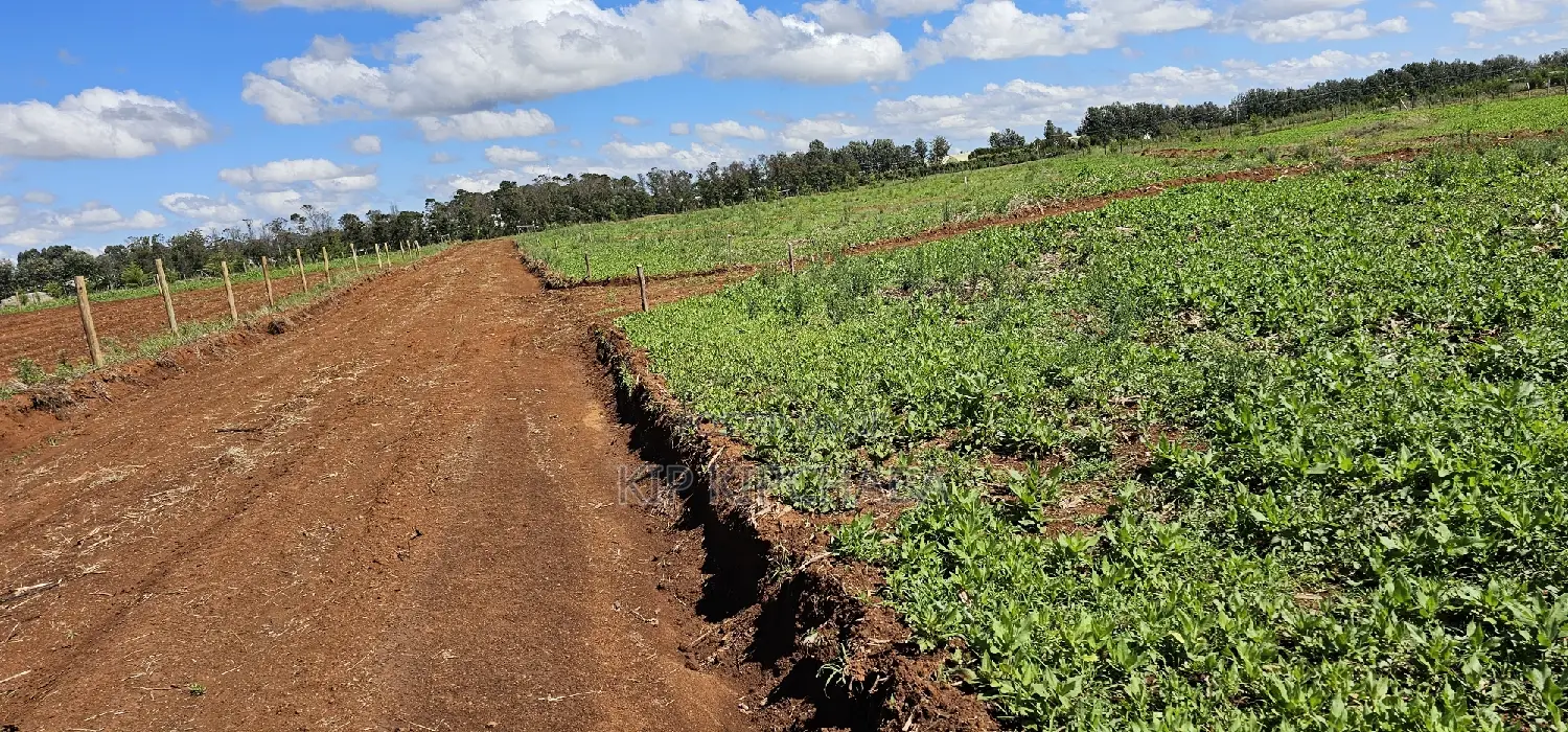 Prime Commercial Plots for Sake in Kimumu Marura in Eldoret
