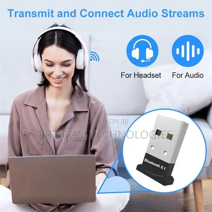 5.1 USB Bluetooth Adapter Bluetooth Receiver Bluetooth Dongl