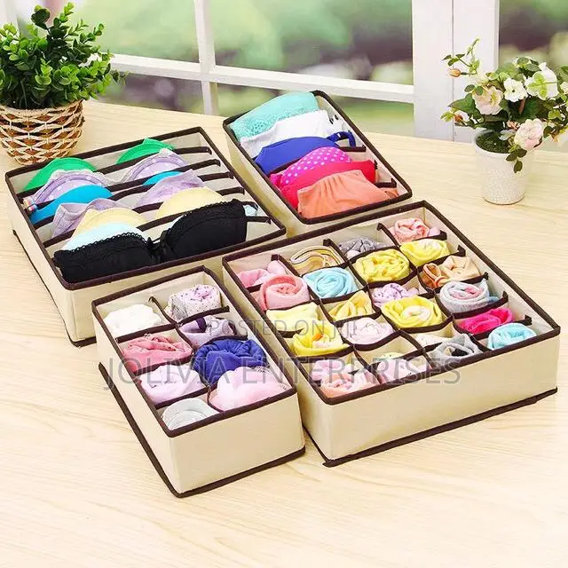 4 in 1 Undergarment Organizer