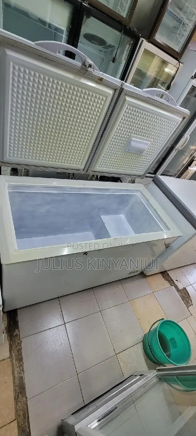 Double Door Freezer 500L