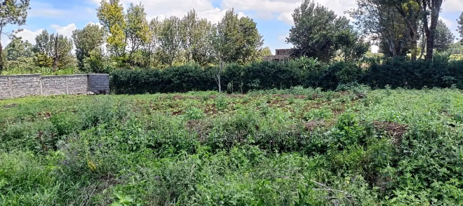 50/100 Plots on Sale in Kikuyu Ondiri