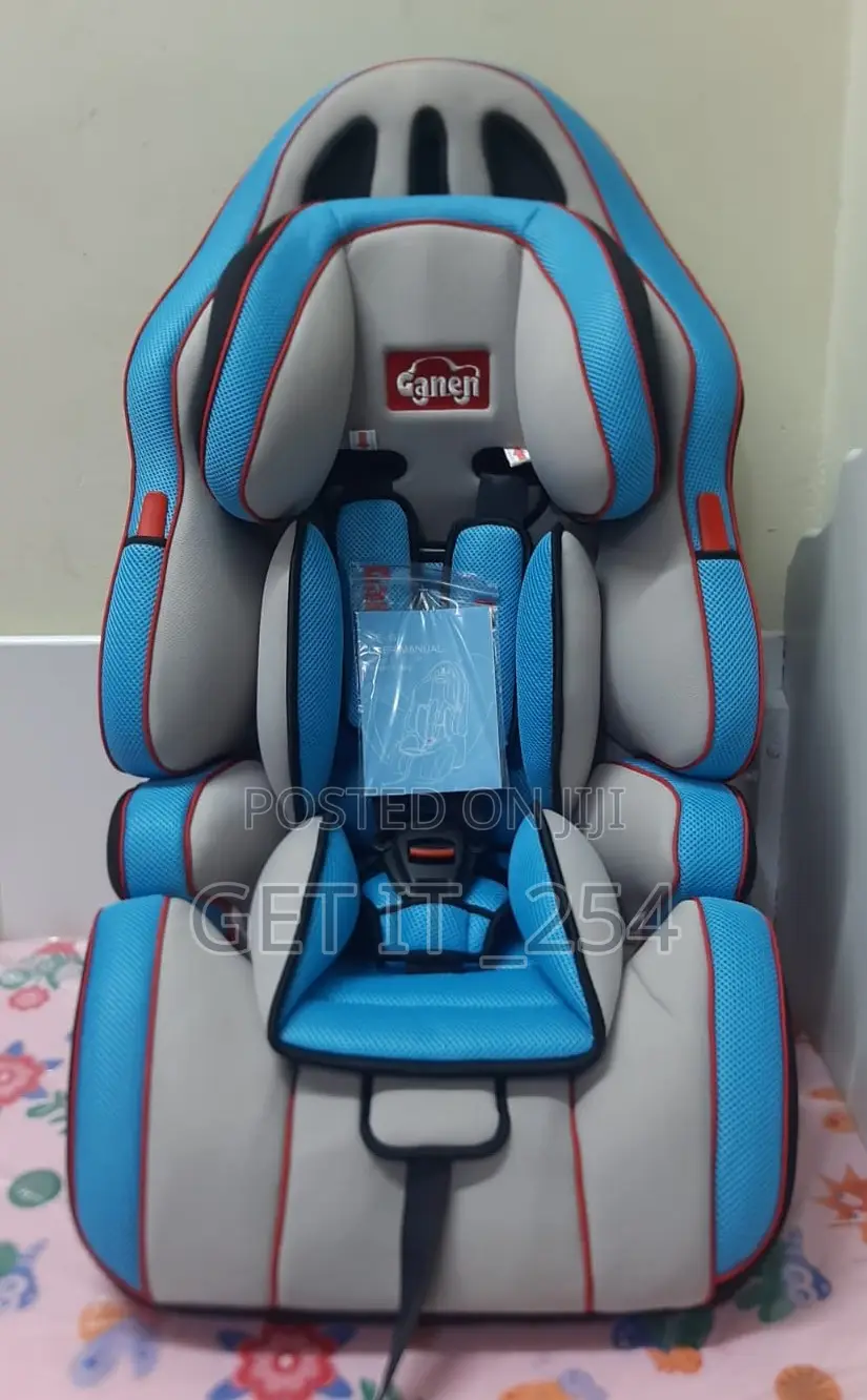 Booster Cat Seat