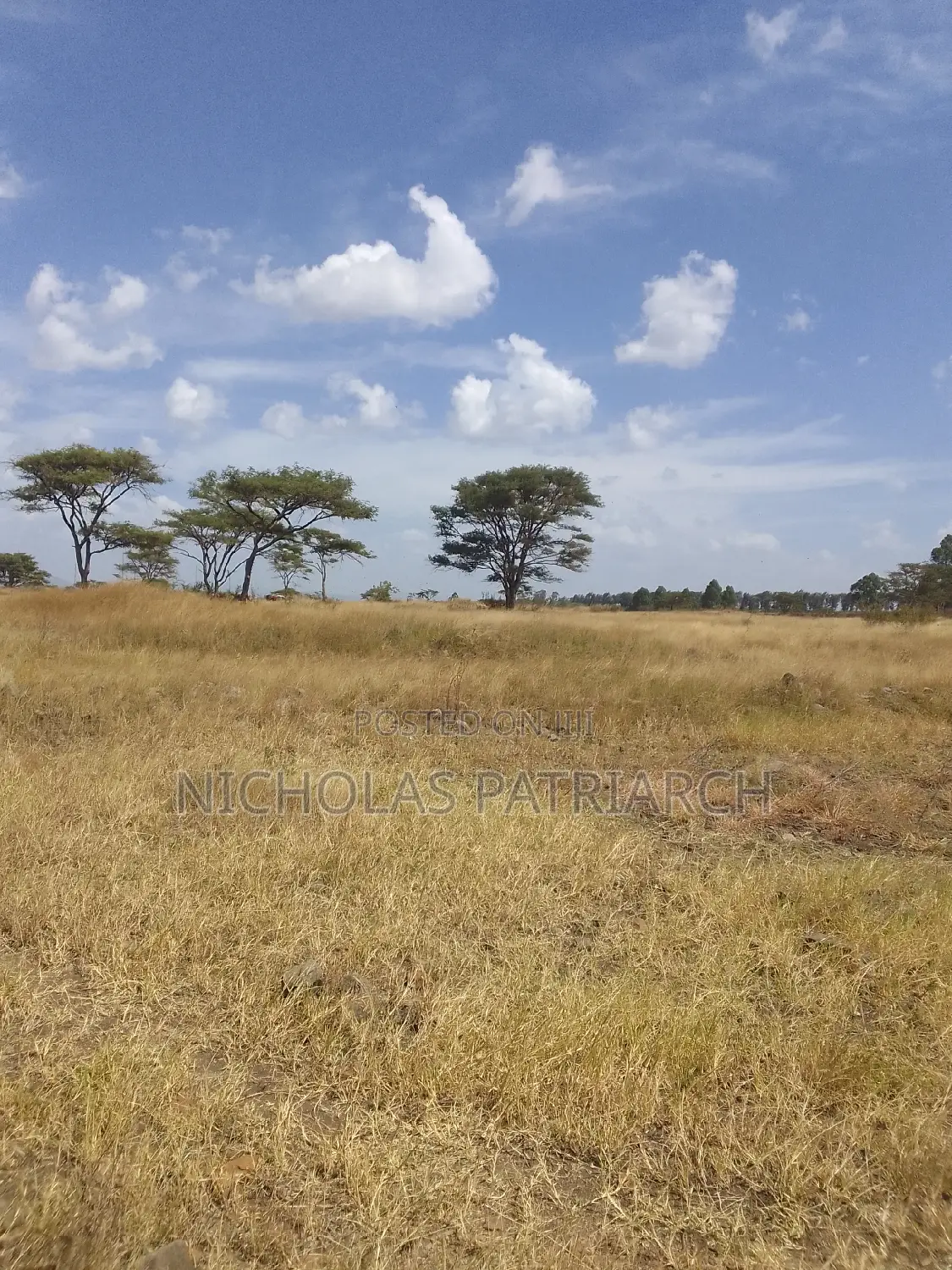 22 Acres Juja Touching Thika Highway Selling at 45m Per Acre