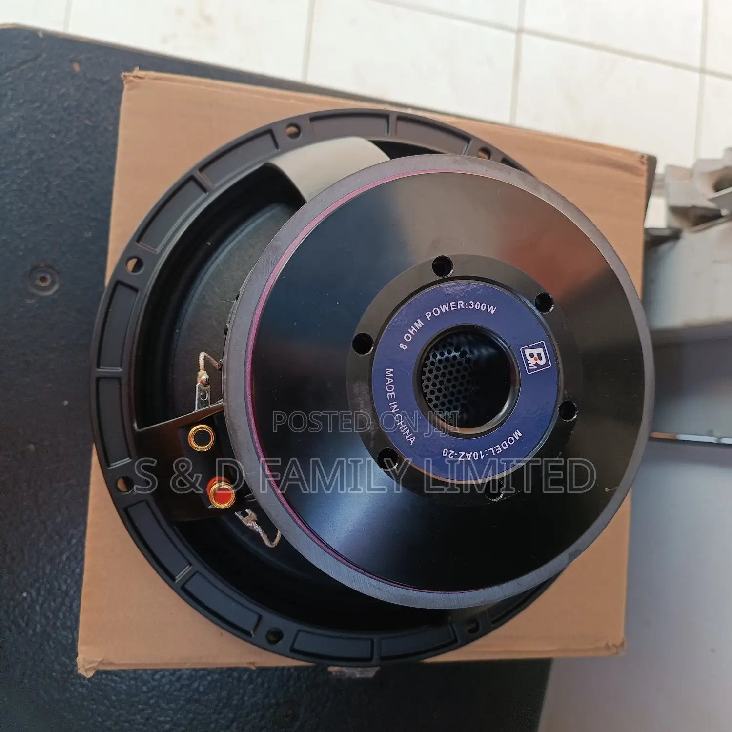 BM 10AZ20 Naked Speaker