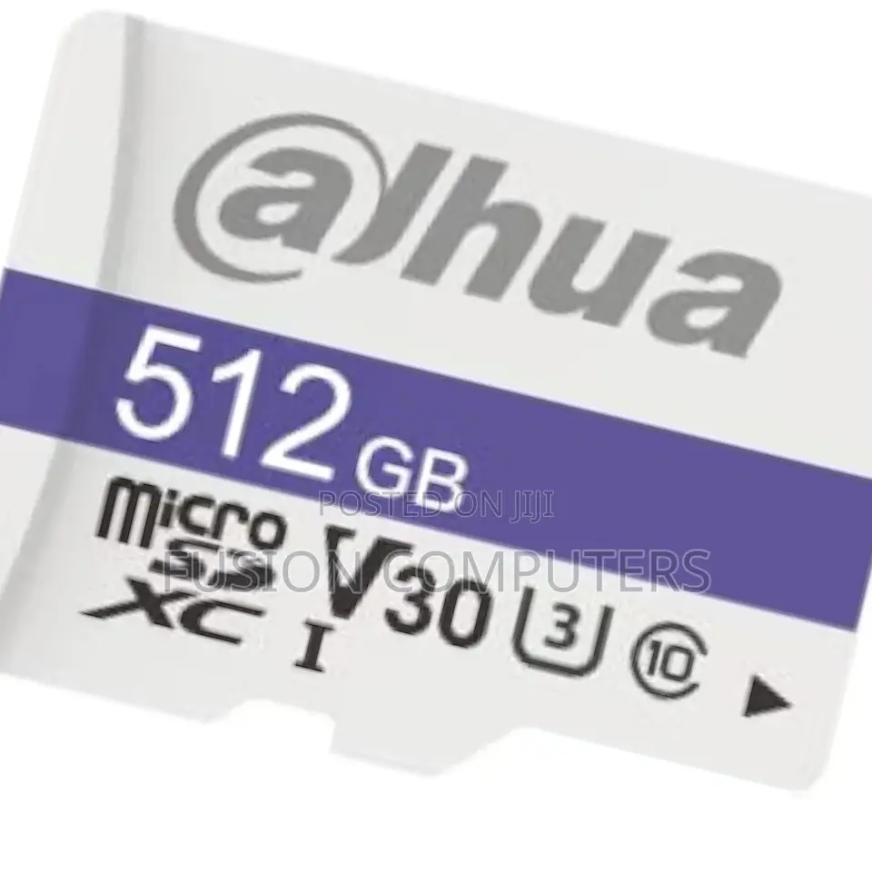 Dahua TF-P100/512GB 512GB Dahua Microsd Card