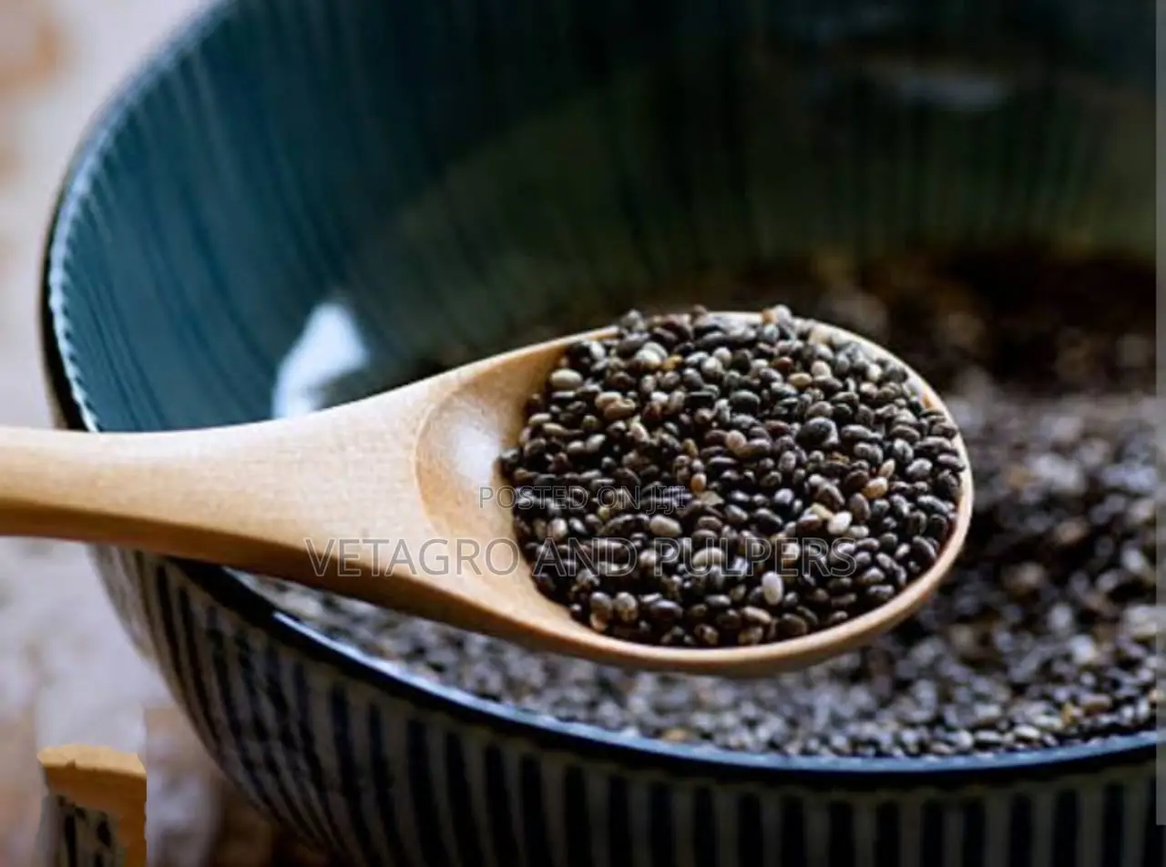Chia Seeds (Salvia Hispanica)