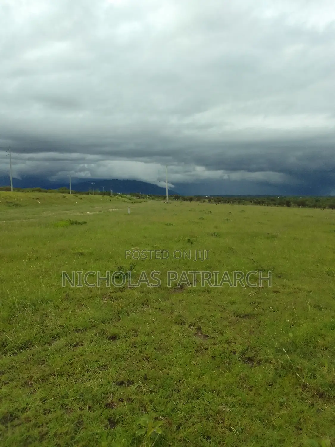54 Acres Lukenya Near Golden Africa Selling at 19m Per Acre.