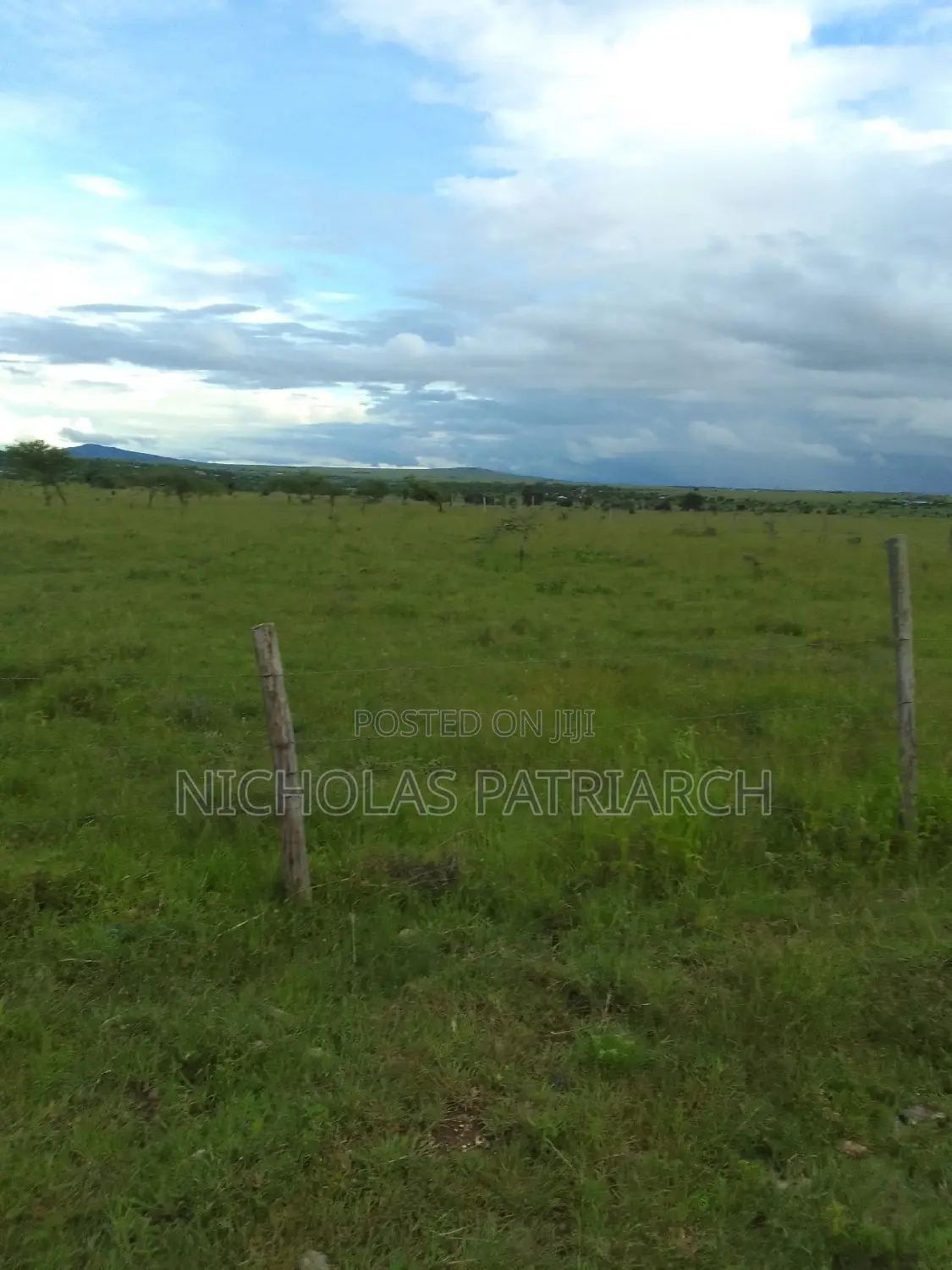 54 Acres Lukenya Near Golden Africa Selling at 19m Per Acre.