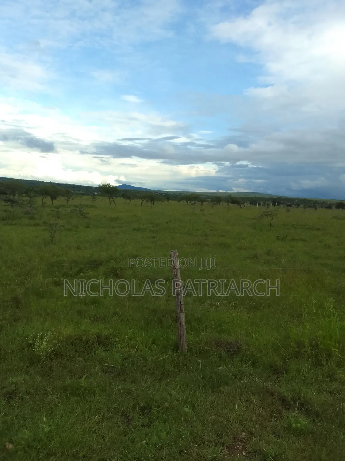 54 Acres Lukenya Near Golden Africa Selling at 19m Per Acre.