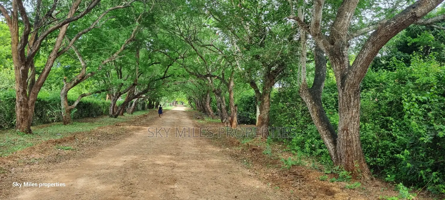 Bofa Kilifi, a Parcel of 6 Acres for Sale