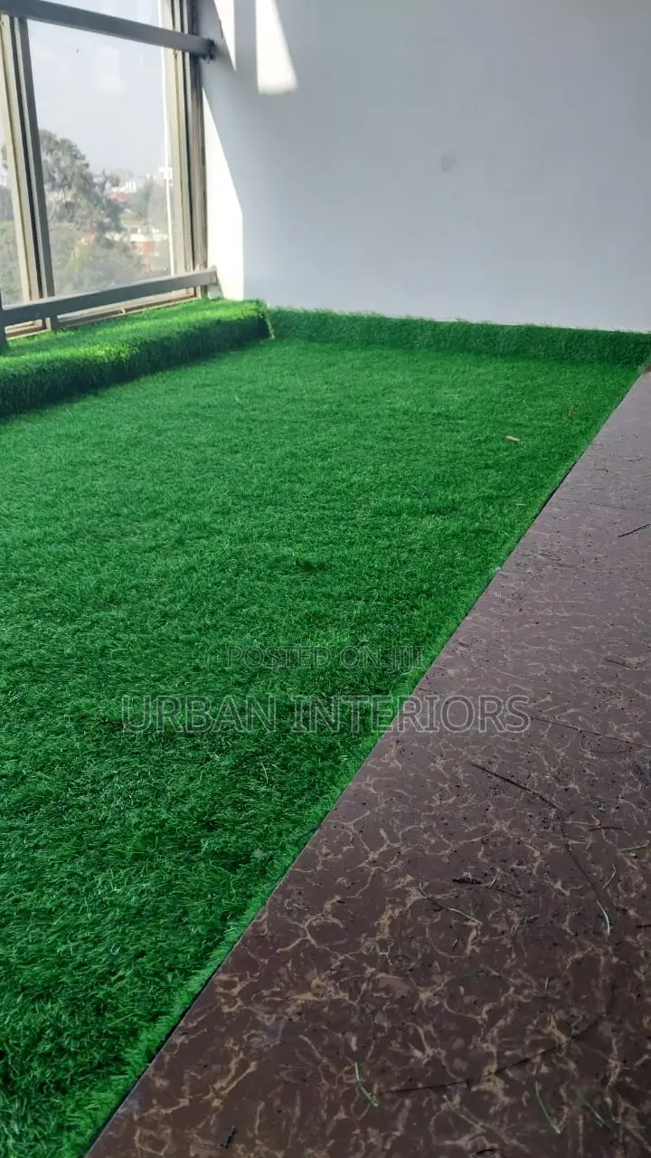 Grass Carpet Grass Carpet Grass Carpet Grass Carpet