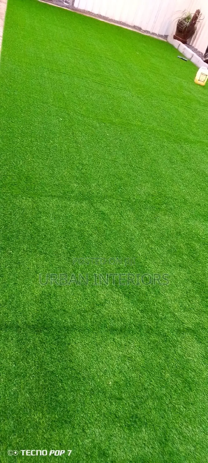 Grass Carpet Grass Carpet Grass Carpet Grass Carpet