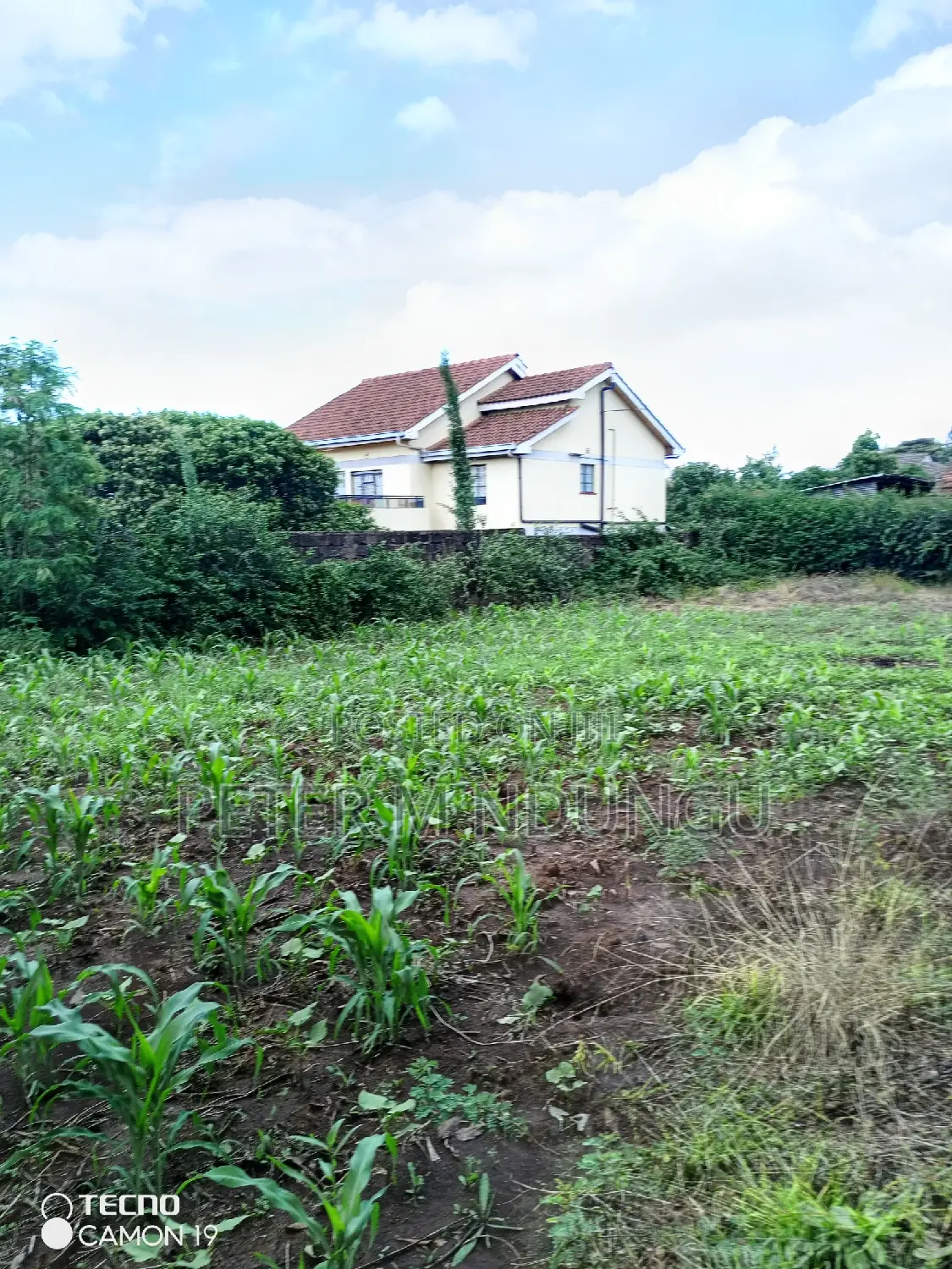 Prime 100*100 Bungoma Road, Kahawa Sukari