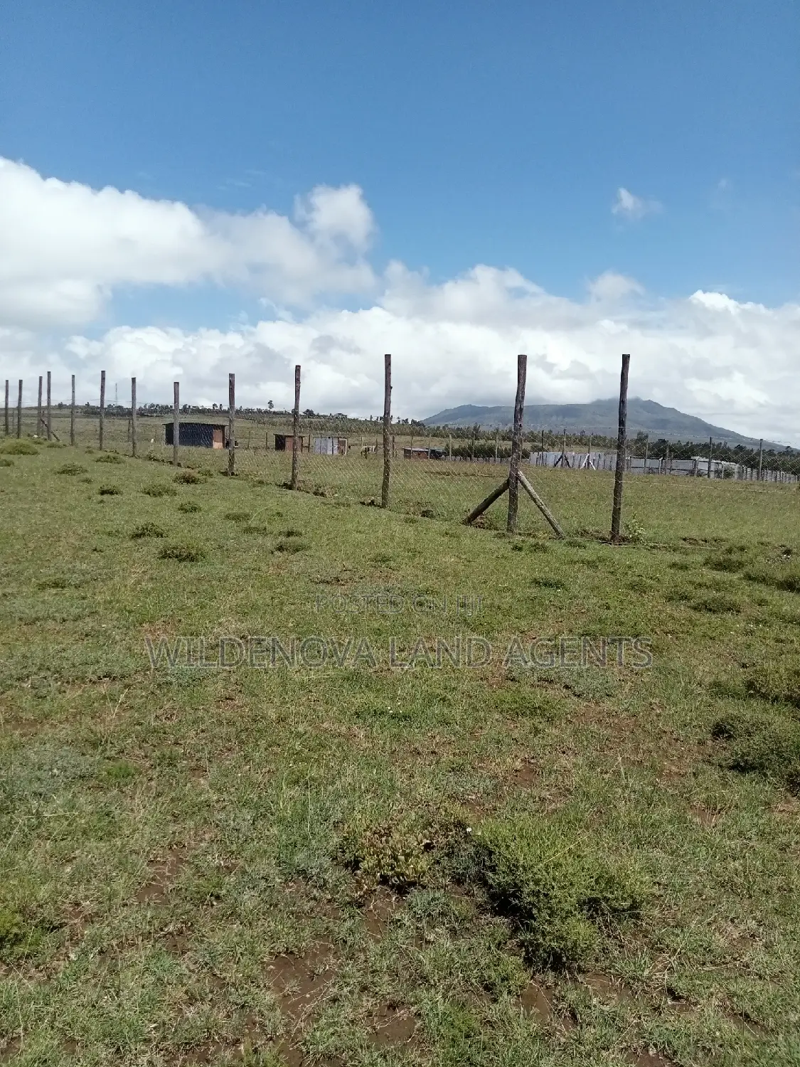 Plots on Sale at Longonot Naivasha Going for J