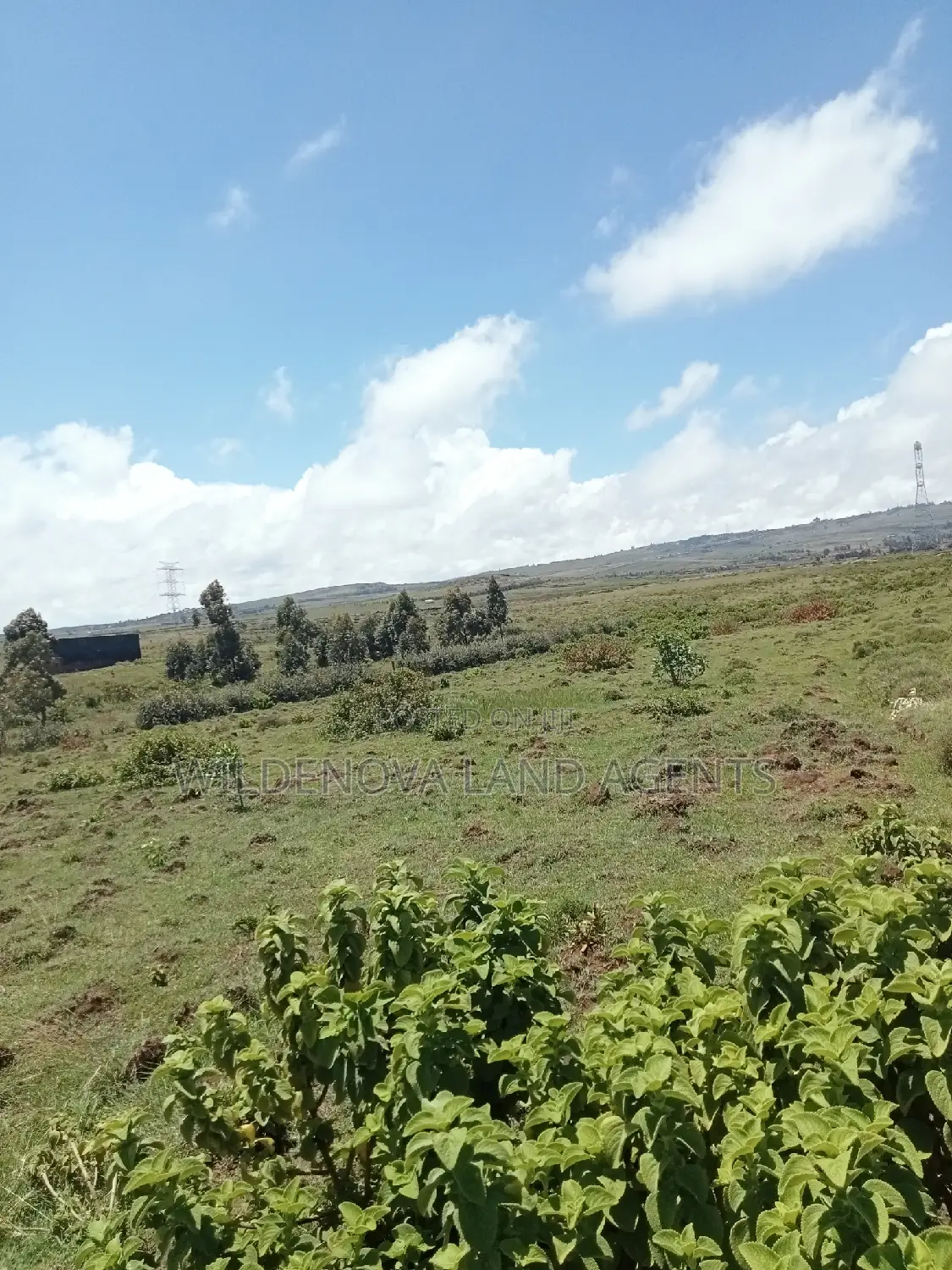 Plots on Sale at Longonot Naivasha Going for J