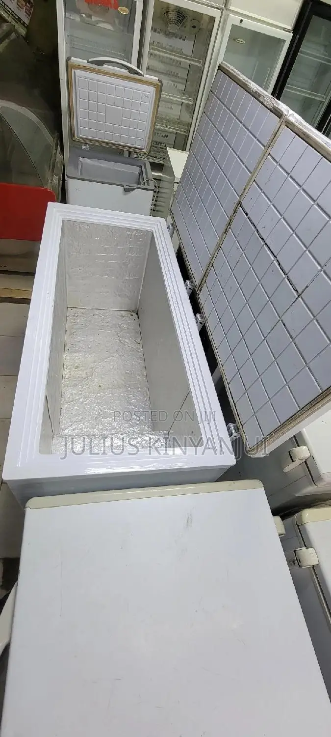 Double Door Freezer