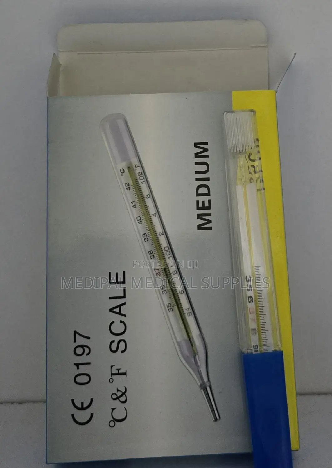 Mercurial Thermometer
