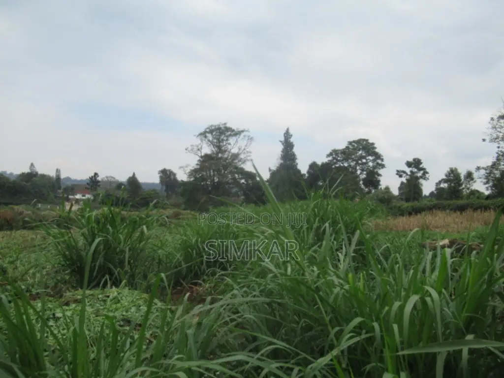 3 Acres Developed Farm for Sale in Red Hill - Limuru